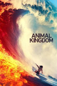 Królestwo zwierząt