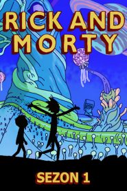 Rick i Morty: Sezon 1