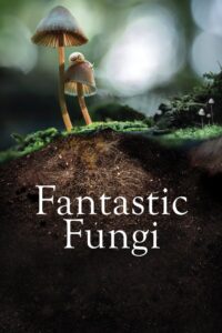 Fantastic Fungi Zalukaj Online
