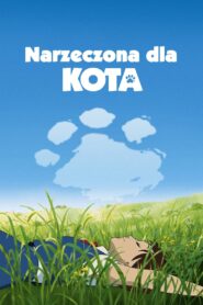 Narzeczona dla kota